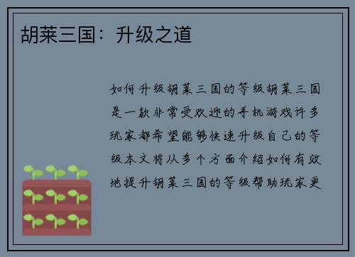 胡莱三国：升级之道
