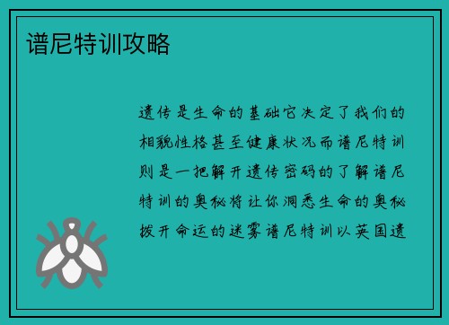 谱尼特训攻略
